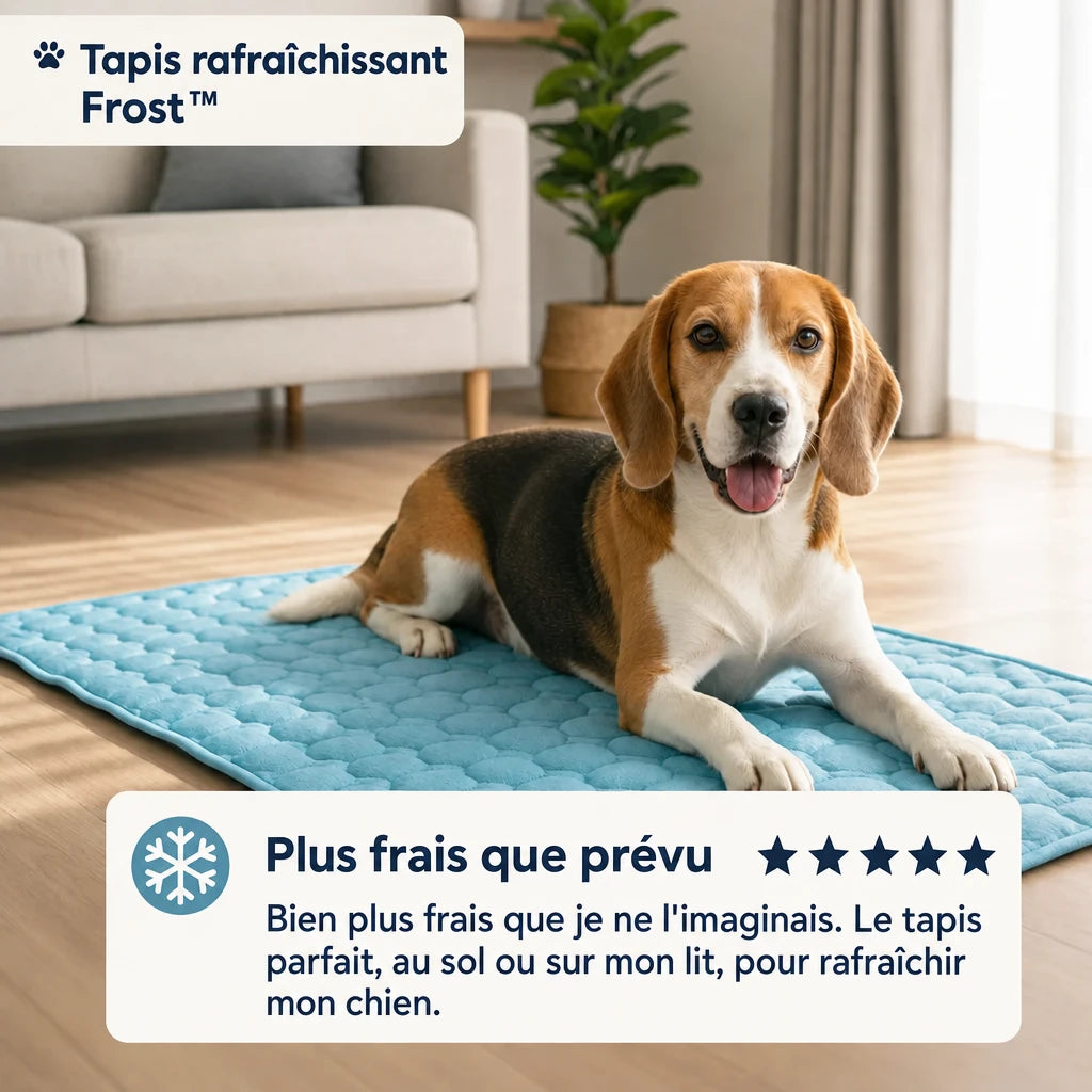Tapis rafraîchissant Frost™ pour chien
