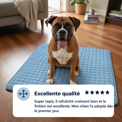 Tapis rafraîchissant Frost™ pour chien