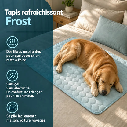 Tapis rafraîchissant Frost™ pour chien
