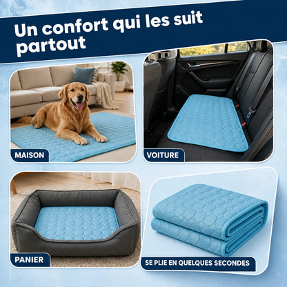 Tapis rafraîchissant Frost™ pour chien