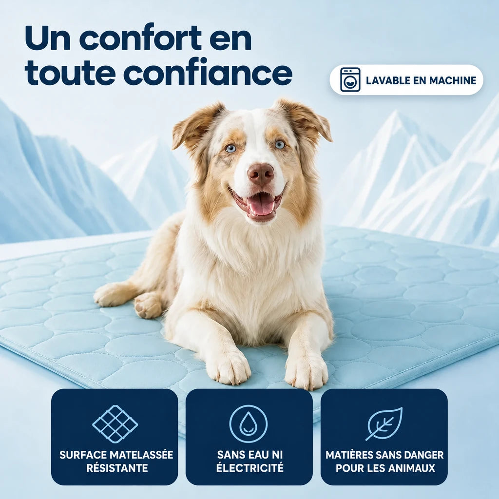 Tapis rafraîchissant Frost™ pour chien