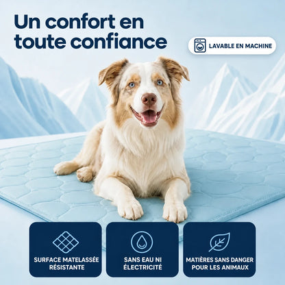 Tapis rafraîchissant Frost™ pour chien