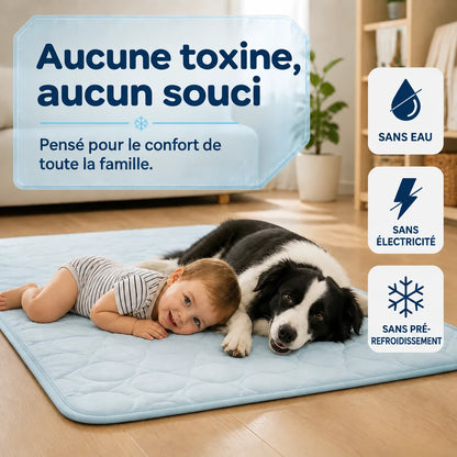 Tapis rafraîchissant Frost™ pour chien