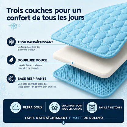 Tapis rafraîchissant Frost™ pour chien