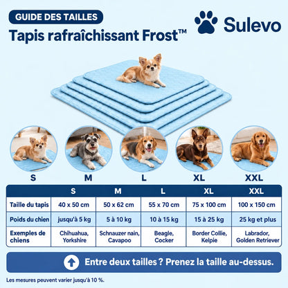 Tapis rafraîchissant Frost™ pour chien