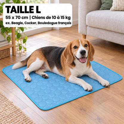 Tapis rafraîchissant Frost™ pour chien