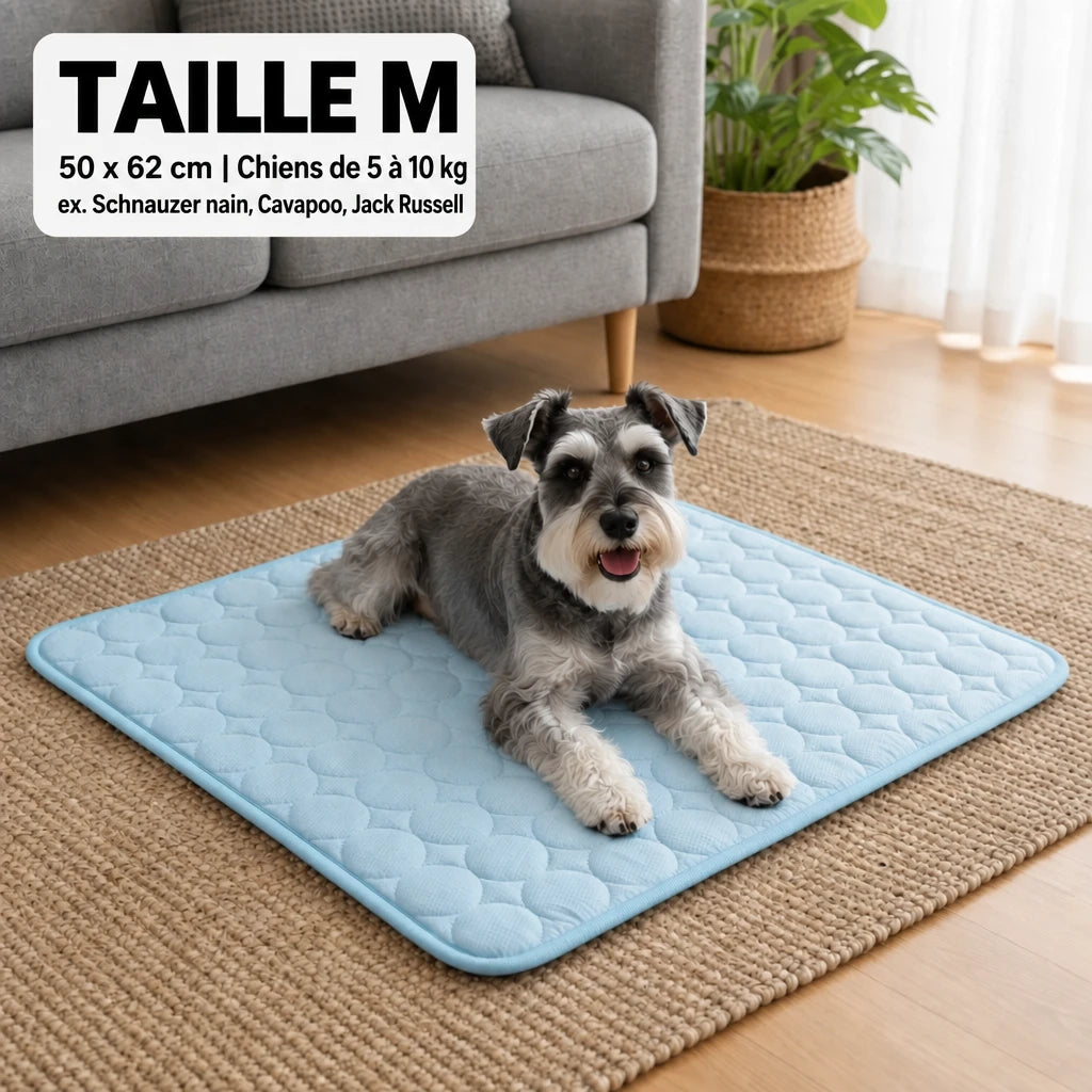 Tapis rafraîchissant Frost™ pour chien