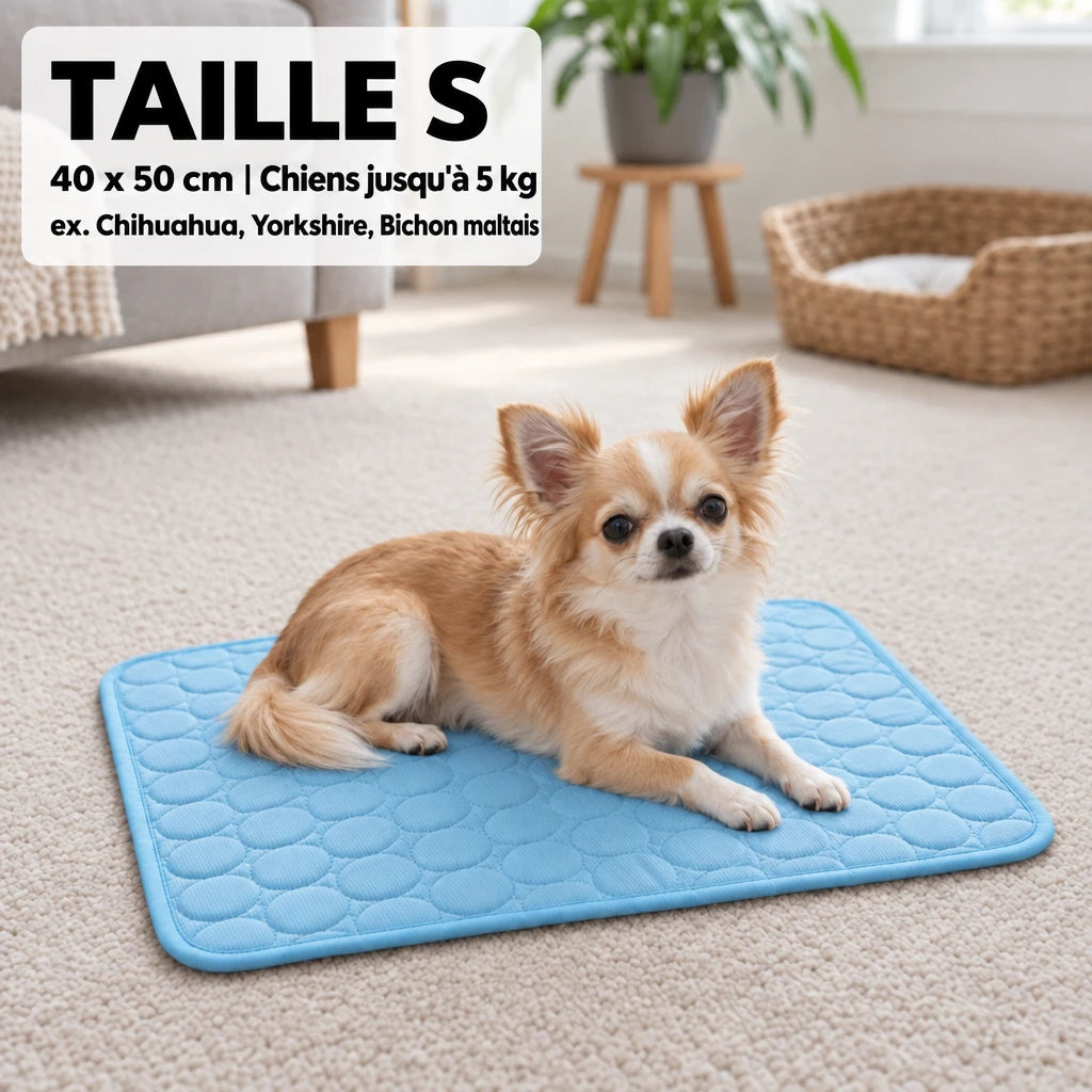 Tapis rafraîchissant Frost™ pour chien