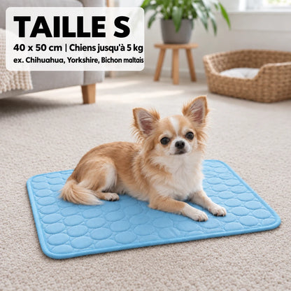Tapis rafraîchissant Frost™ pour chien
