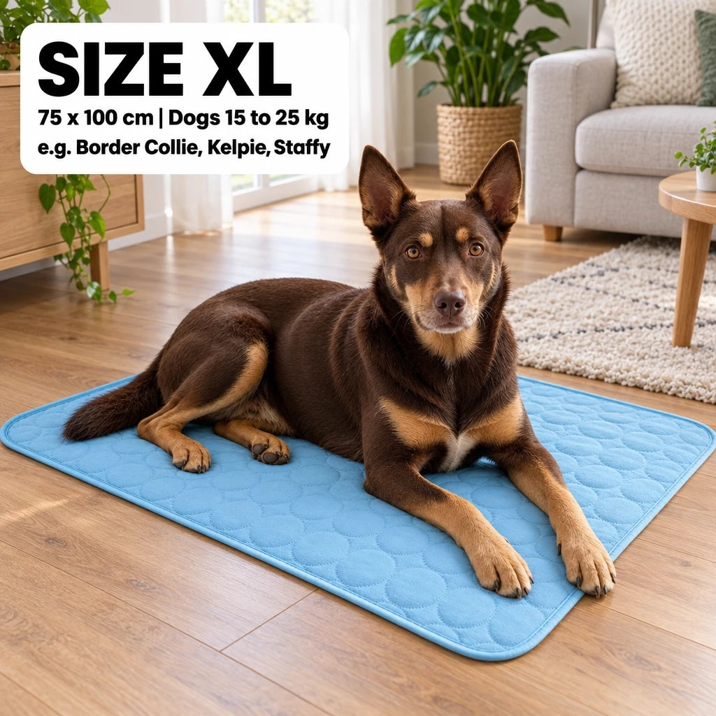 Sulevo Frost™ Cooling Dog Mat