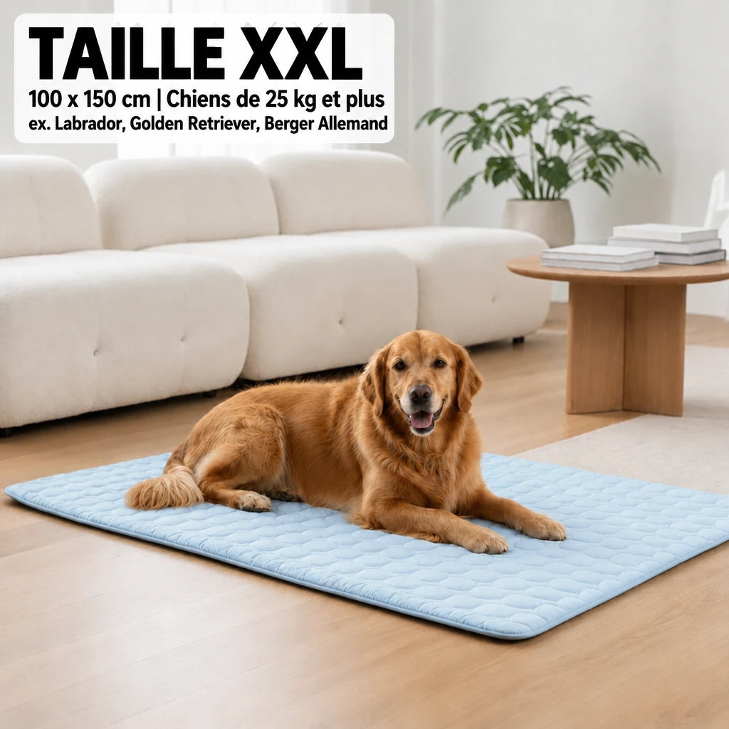 Tapis rafraîchissant Frost™ pour chien